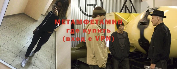 прущие грибы Дмитров