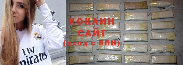 прущие грибы Дмитров