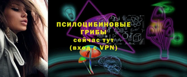 прущие грибы Дмитров