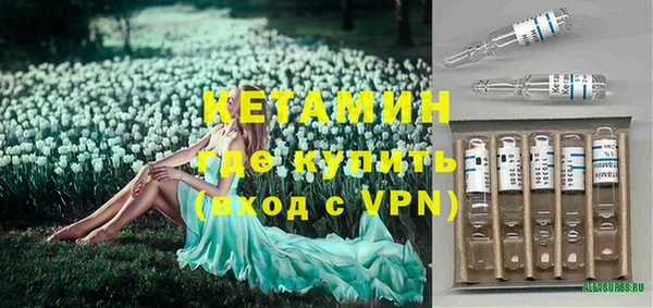 прущие грибы Дмитров