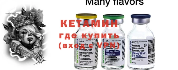 прущие грибы Дмитров