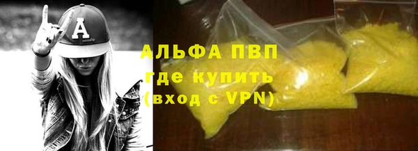 прущие грибы Дмитров