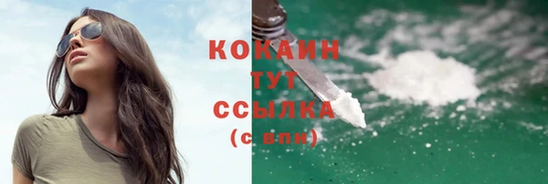 прущие грибы Дмитров