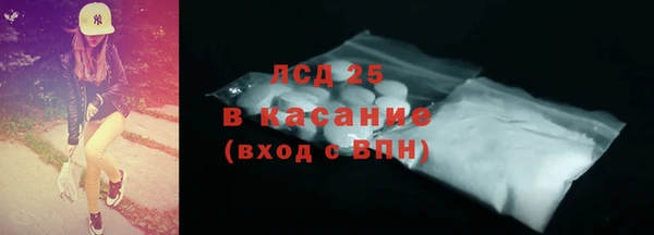 прущие грибы Дмитров