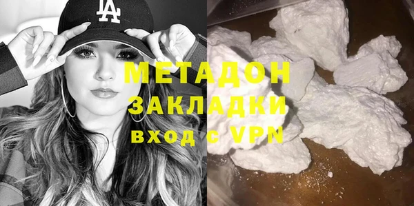 прущие грибы Дмитров